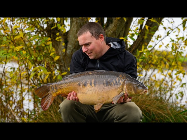 Carp Photography: What Do You Struggle With Most? 📸
