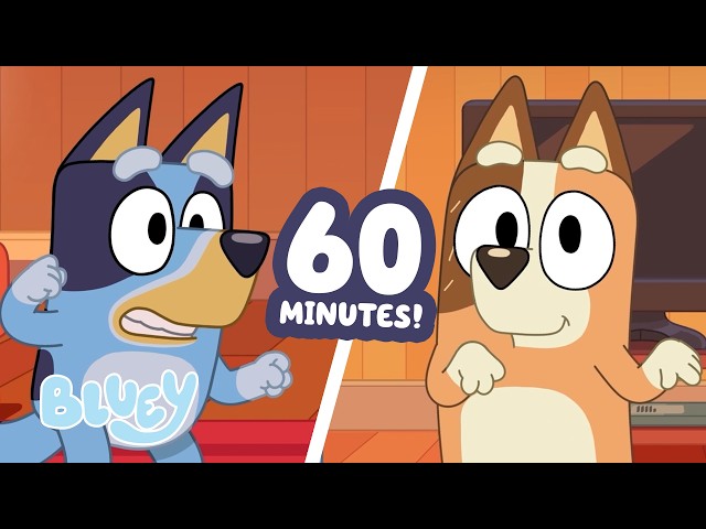 🔴LIVE: Bluey and Chilli Dance Off! 🪩 | Musical Statues + MORE Fun 🤩 | 1 HOUR | Bluey