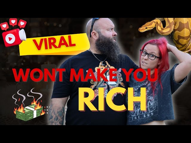 Social Media 101 for Ball Python Breeders | The Truth about viral content and Ball Python Sales