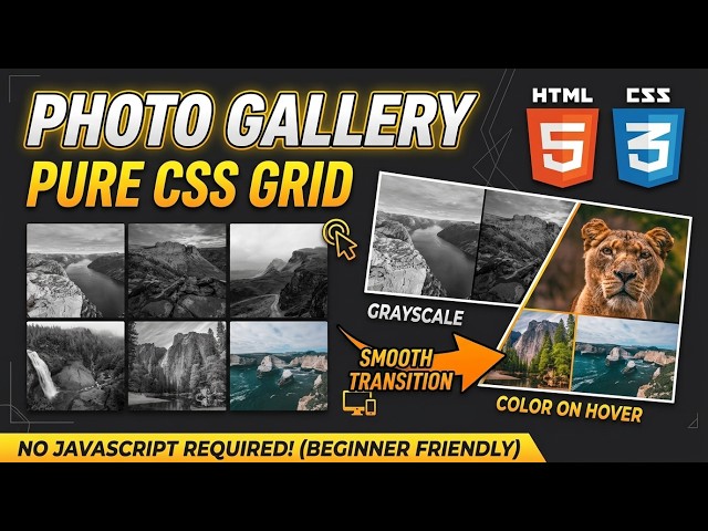 Responsive Image Gallery using HTML & CSS Grid | Pure CSS Hover Effects 🔥