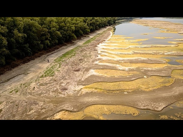 La sequía seca el Danubio y saca a la luz mamuts, barcos nazis y un puente romano