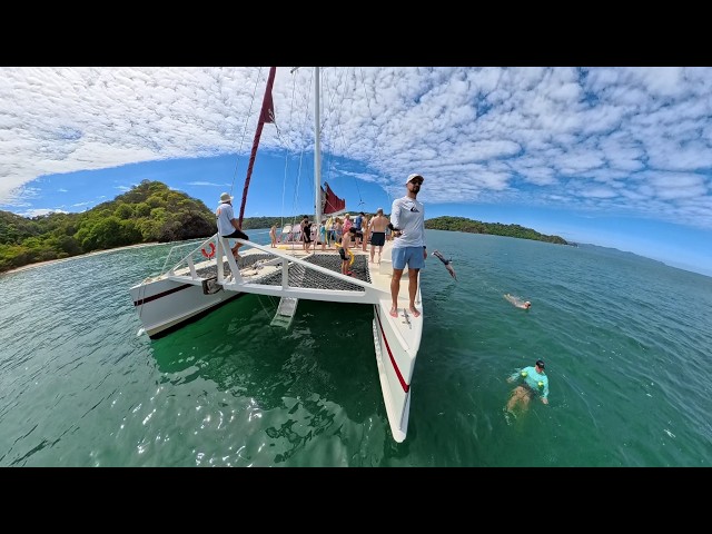 Our Last Day In Costa Rica! | Swimming To A Deserted Island & Exploring A Chocolate Forest!