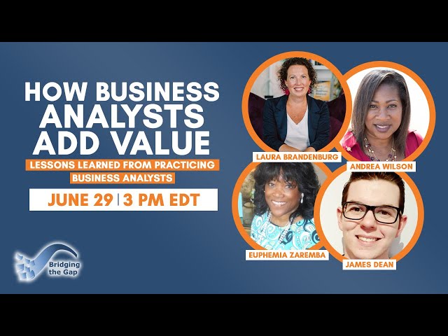 How Business Analysts Add Value: Lessons Learned from Practicing Business Analysts