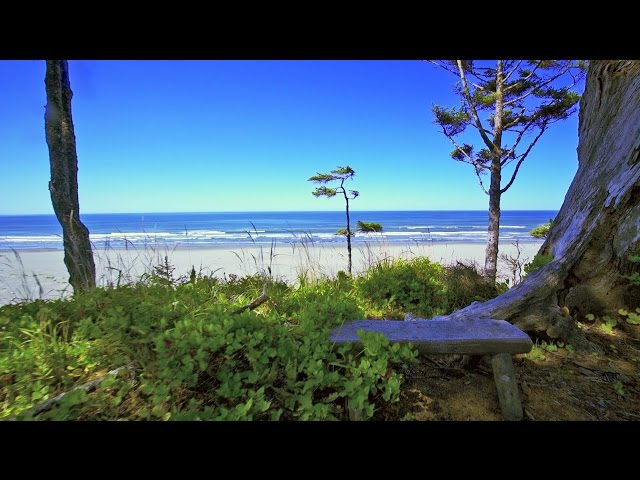 Elk Creek - Seabrook Oceanfront Neighborhood