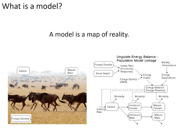 11 1 Systems Modelling Introduction