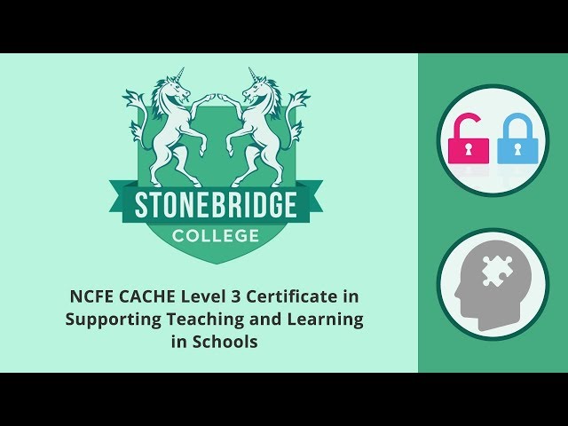 Teaching Assistant Course: Certificate in Supporting Teaching and Learning in Schools (Level 3)