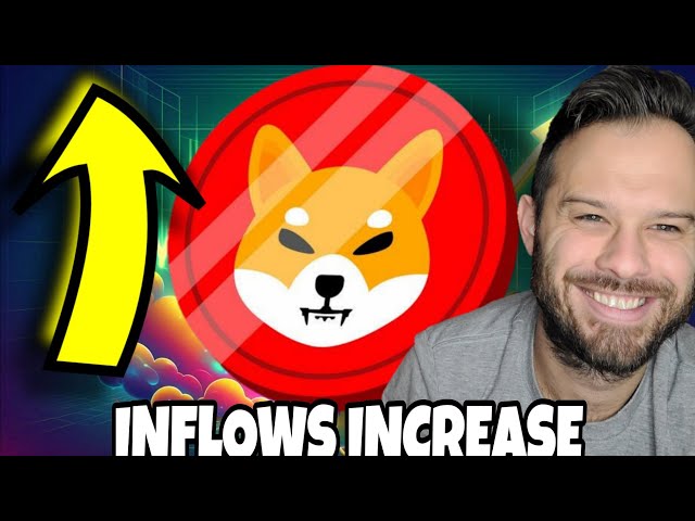 Shiba Inu Coin | SHIB Inflows Increase! What This Means For SHIB