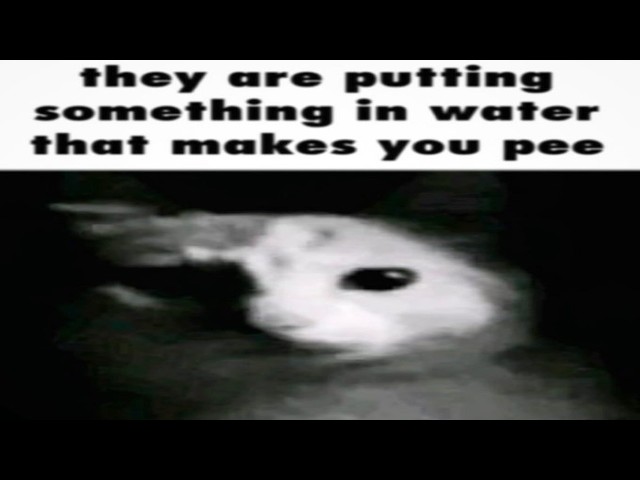 Shitpost compilation 86