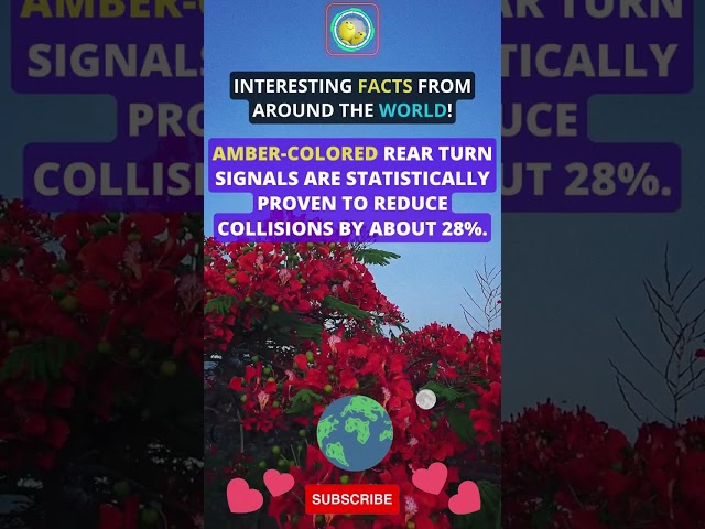 Daily Facts, Knowledge Is Power, #shorts #AmazingFacts #InterestingFacts