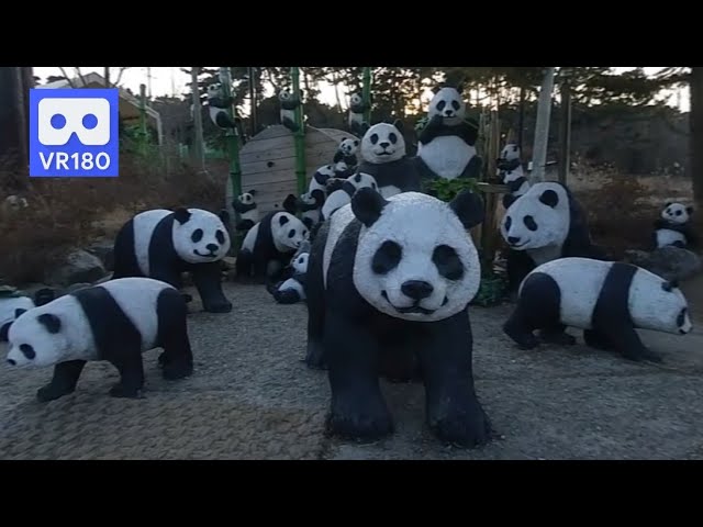 3D 180VR 4K Cute Panda Family in Happiness Panda Village