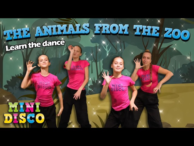 The Animals From The Zoo 🦁 | Learn the Dance | Minidisco