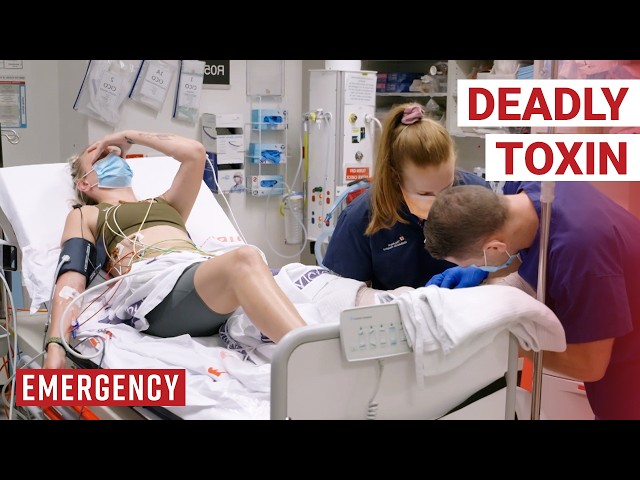 Paramedic Bitten By Highly Venomous Brown Snake | Emergency