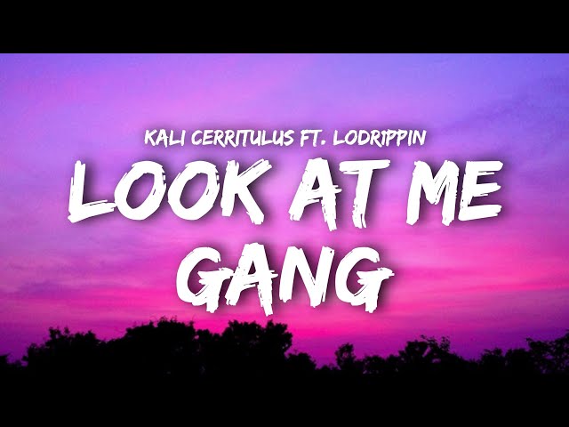 kali Cerritulus - Look At Me Gang (Lyrics) Ft. Lodr1ppin