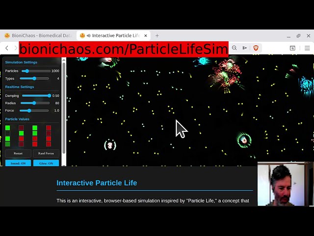 Building a Particle Life Simulation with Gemini AI: Vibe Coding & Web Dev