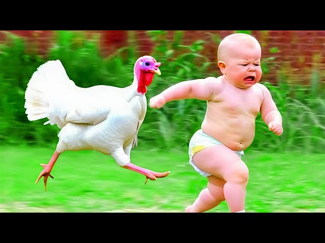🔴 [LIVE] Cutest and Funniest Babies PLAY WITH ANIMALS COMPILATION || Cool Peachy🍑