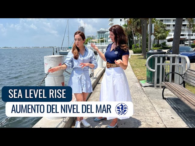 Aguamigos | Sea Level Rise | Aumento del Nivel del Mar Ep5