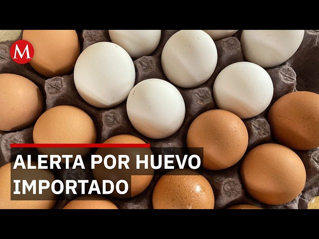 Imported eggs: Poultry farmers urge checks on product freshness and origin