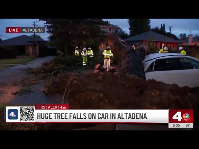 Street blocked off after huge tree falls on top of car in Altadena