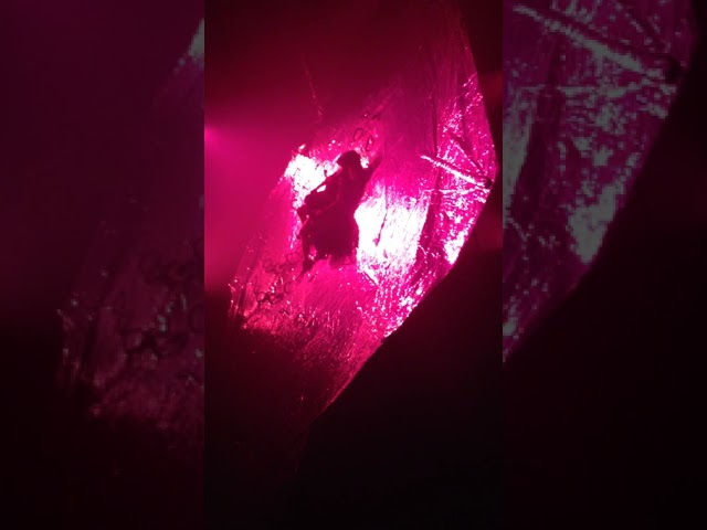 LA VELA