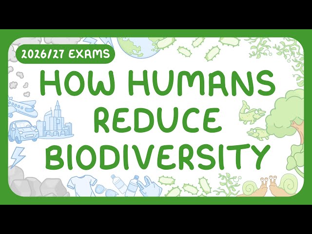 GCSE Biology - How Humans Reduce Biodiversity (2026/27 exams)