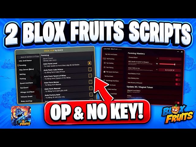 [NO KEY] 2 NEW BLOX FRUITS SCRIPTS! (Roblox)| FAST AUTO FARM + MAGNET TOKEN FARM & More (UPDATE 30)