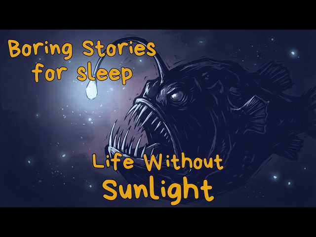 Life Without Sunlight | Boring Nature for Sleep