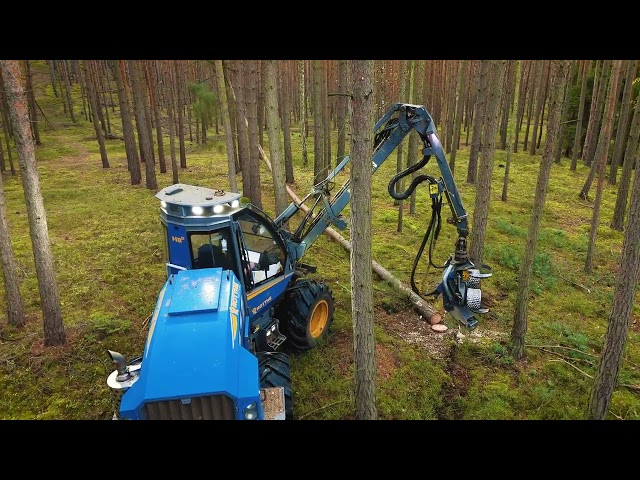 RM FOREST - Harvestor Rottne H8D