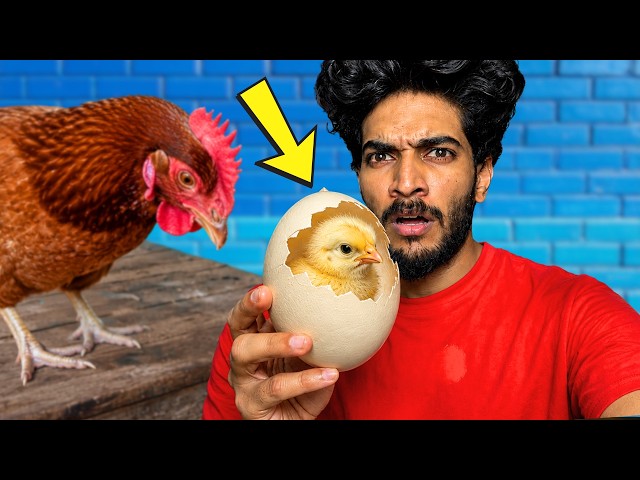 ഒരു മുട്ട വെച്ച് ഒരു രാഷ്ട്രീയ പാർട്ടി തുടങ്ങി