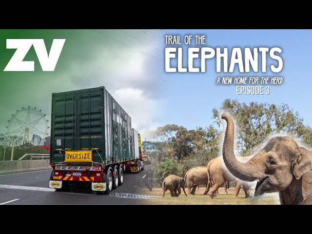 Trail Of The Elephants - A New Home For The Herd: Episode 3