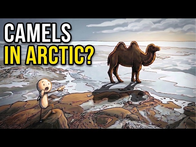What Earth Was Like Before the Ice Age