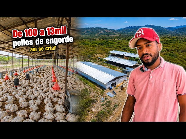 He Started with 100 Chickens and Now Raises 13,000 | How He Did It