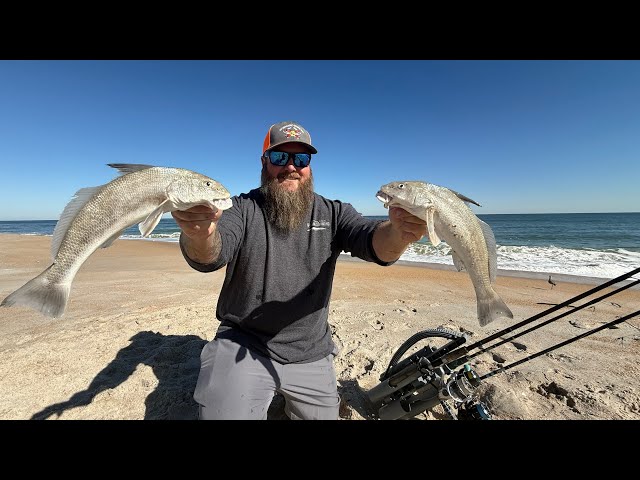 Winter Surf Fishing! These underrated fish are delicious! | Whiting | Catch Clean Cook