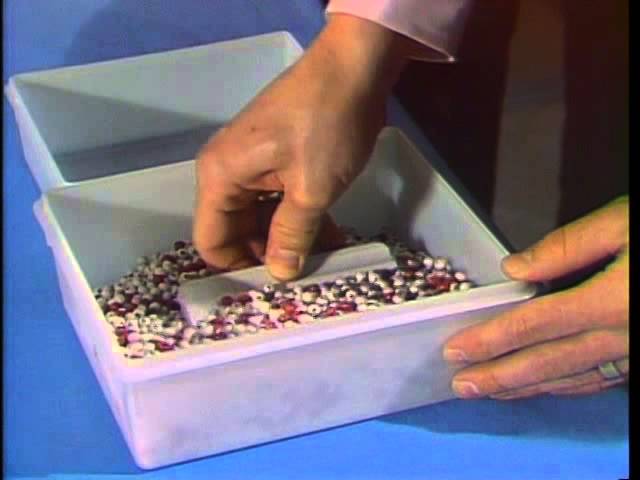 Red Bead Experiment with Dr. W. Edwards Deming