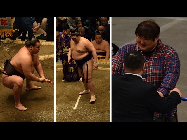 Hoshoryu "necesita tiempo"; Onosato "debería cambiar"; a Kotomitsuki lo estafaron por más de $1 m...