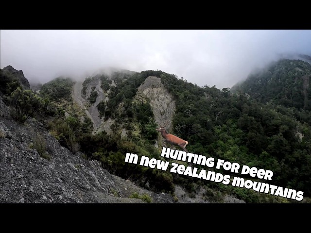 We Can't Believe It Was Right There... | 3 Days Deer Hunting New Zealand's Mountains |