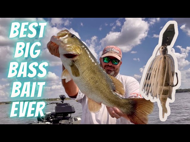 How To Catch Big Bass on a Chatterbait! Best Bait Ever??? Top Secret Lake Fork Guide Tips!!!