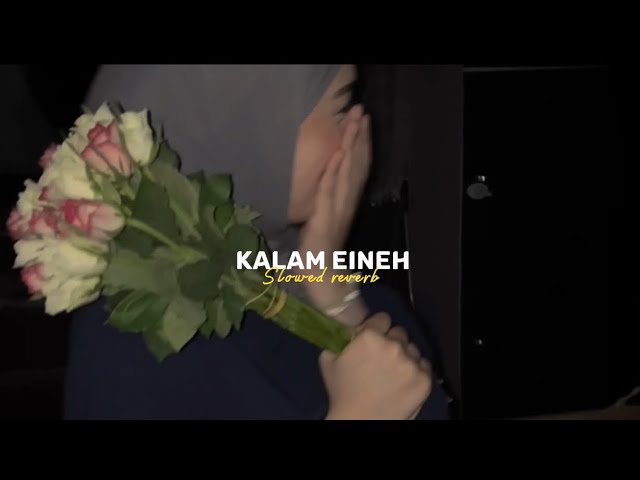 Sherine - Kalam Eineh | شيرين - كلام عين ( slowed reverb )