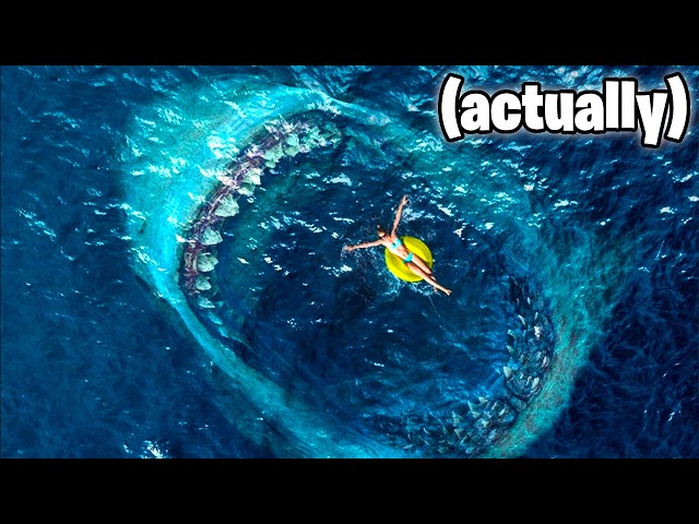 The Meg is (actually) INSANE
