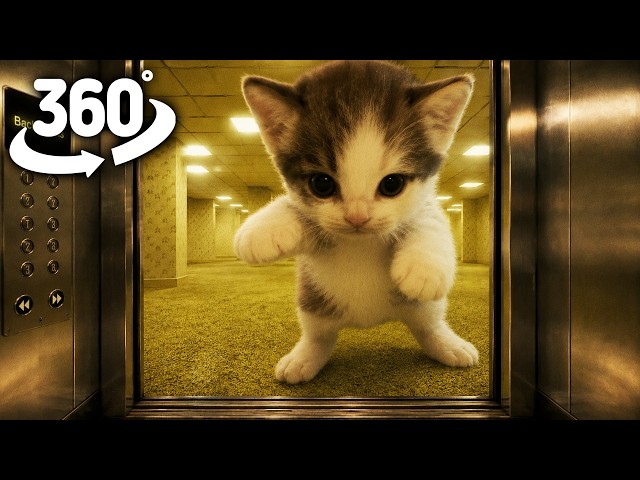 Horror Elevator to the Backrooms | ScubaCat | 360° VR