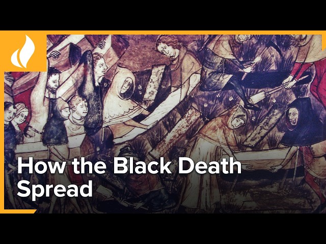 The Black Death's Ports of Entry | The World's Most Devastating Plague