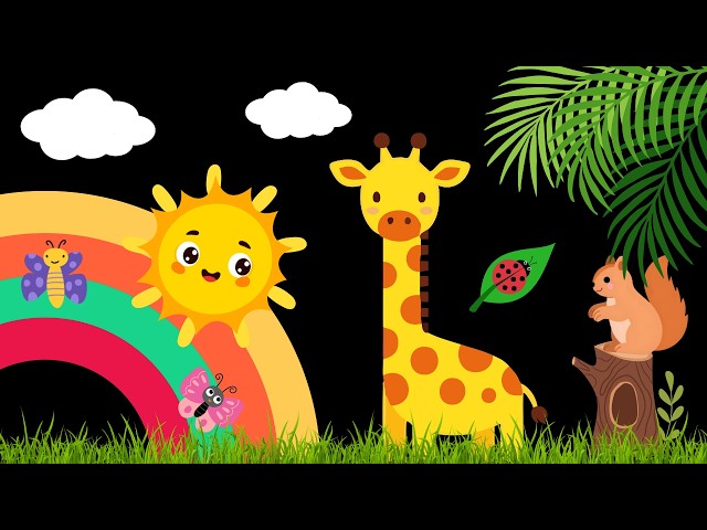 Baby Sensory Video – Newborn Visual Stimulation – Sensory Videos for Babies - Tummy Time #baby