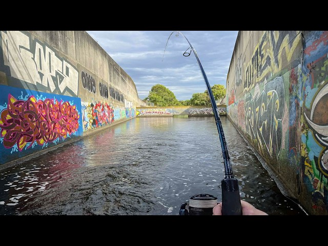 Giant Fish Destroying Melbourne's Hidden Underground Urban Drainage System!