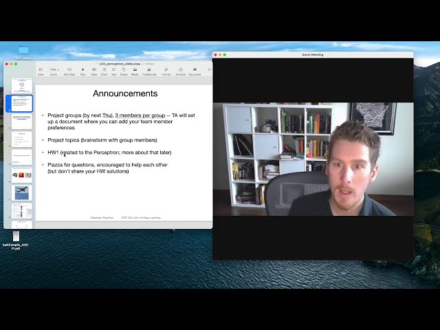 L3.0 Perceptron Lecture Overview