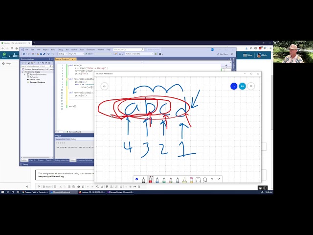 Python Reverse String using Visual Studio 2019