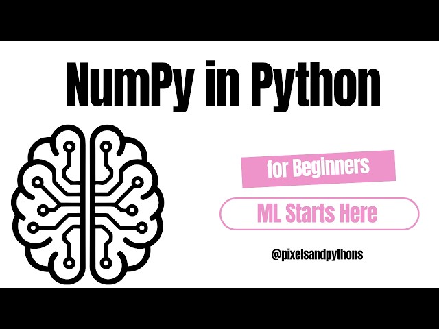 NumPy for Beginners | The Foundation of Machine Learning