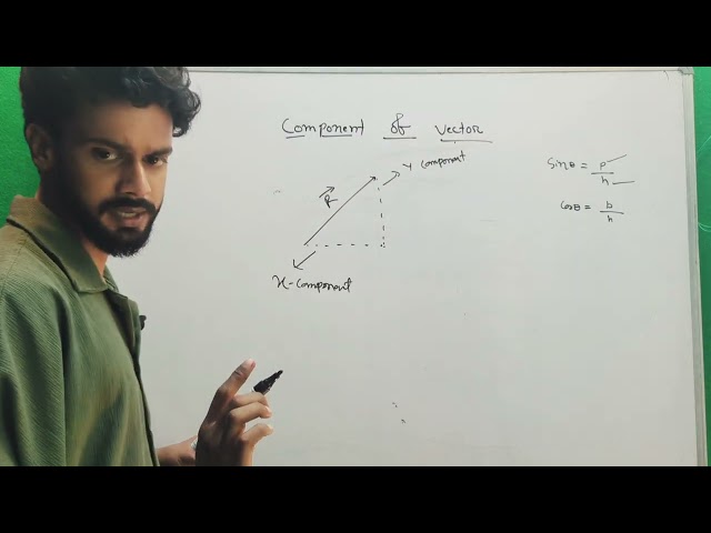 Components of vector, vector, physics, mathematics 