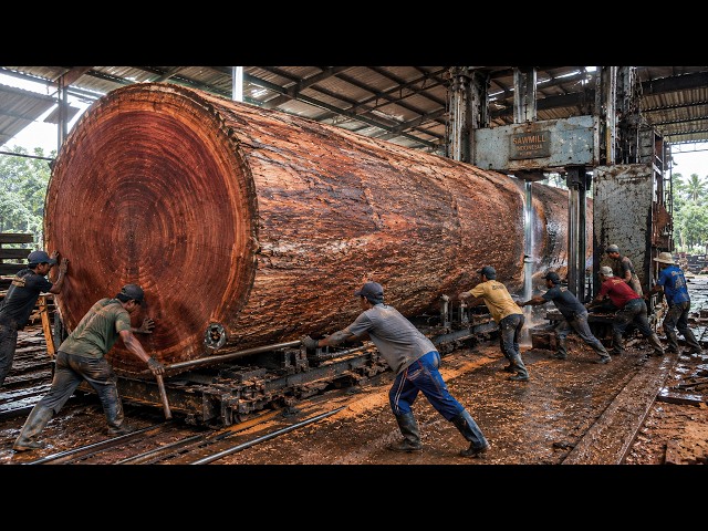 Cutting an Old Log with Stunning Red Grain, Weathered on the Outside, Valuable on the Inside