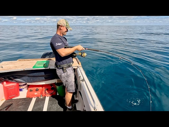 Shark Fishing in the UK - Small Boat Sea Fishing in Cornwall | The Fish Locker