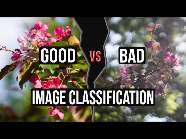 Performanсe oriented image classification with PyTorch and ML.NET