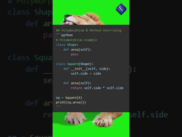 Polymorphism in Python | #coding #shorts #python